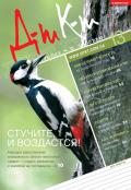 Дебет-Кредит №13 / 2013