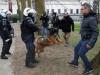 Антивакцинаторські протести у Бельгії