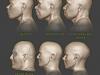 Людські черепи еволюціонували протягом сотень тисяч років 