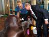Путин пожал ласты моржам 