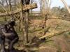 Шимпанзе сбивает беспилотник