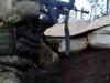 Відео бою з терористами у с. Зайцеве показали волонтери