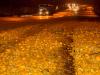 «Свято наближається»: одну из улиц Днепра усеяли мандарины