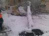 Снігопад у Львові повалив майже сотню дерев