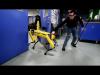  «Испытание на прочность»: Boston Dynamics опубликовало очередное видео издевательств над роботом