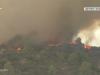 Іспанія і Португалія боряться із лісовими пожежами, людей евакуюють