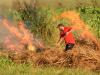 Галицька версія фестивалю «Burning Man»: селяни масово палять суху траву 