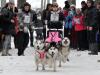 Соревнования Winter Dog Fest-2019 в Харьковской области