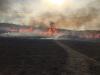 Червоний півень розгулявся: пожежні продовжують боротися із загоряннями сухостою на Київщині