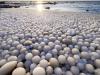 Пляж в Фінляндії вкрився гігантськими «крижаними яйцями»