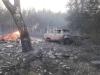 Масштабні лісові пожежі на Харківщині