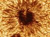Астрономы опубликовали самое детальное фото солнечного пятна