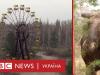 Чорнобиль, що зникає. Панорами Зони відчуження