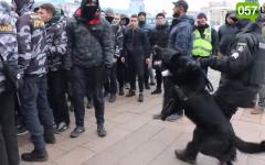 Слезоточивый газ и удары по лицу: в Харькове активисты сорвали митинг пророссийского депутата Лесика::<span style="font-weight:normal">В Харькове пророссийский митинг закончился дракой и слезоточивым газом</span>