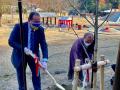 У парку міста Кіото висадили київські каштани