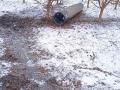 Одна з ракет впала на територію Молдови