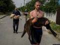 Затоплені та виснажені: волонтери рятують домашніх тварин після руйнування Каховської ГЕС 