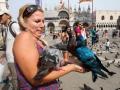 Цветные голуби в Венеции