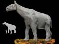 Вчені показали, як виглядав найбільший ссавець в історії Землі