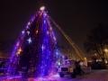 Новогодняя елка во Львове