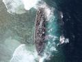 Корабль ВМС США сел на мель в водах Филиппин, повредив коралловый риф