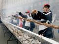 В Киеве приготовили самый длинный шашлык в мире 