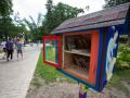 В Киеве появились парковые библиотеки
