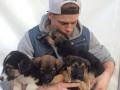 Американский спортсмен «усыновил» щенков из Сочи