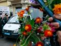 Автозак Тимошенко забросали цветами