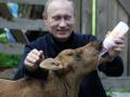 Нелепые фото Путина