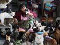 Кошачий приют в Перу