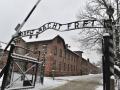 Бывшие узники Освенцима