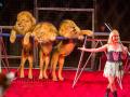 Новая цирковая программа «В мире животных» 