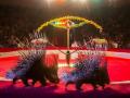 Национальный цирк Украины: «Экстрим арена»