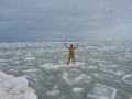 В Одессе морж покатался на льдинах замерзшего моря 