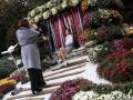 На Співочому полі відкрили виставку хризантем «Фантастична історія»