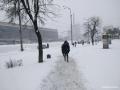 В Киев со снегопадом и метелью пришла весна