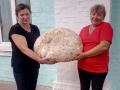 На Київщині знайшли 18-кілограмовий гриб-дощовик