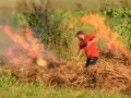 Галицька версія фестивалю «Burning Man»: селяни масово палять суху траву 