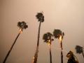 Калифорния горит: штат охватили сильнейшие за 85 лет пожары