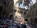 В лондонском музее лежа протестовали против изменения климата 