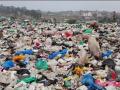 Які загрози звалища пластикового сміття несуть для планети?
