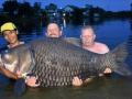 Рыбак поймал самого большого в мире карпа весом больше центнера