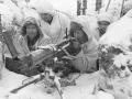 «Зимова війна»: вторгнення Радянського Союзу у Фінляндію в 1939 році в кришталево чистих фотографіях 