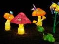 В Киеве открылся фестиваль гигантских китайских фонарей 