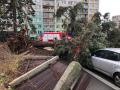 Чехією пронісся ураган: повалені дерева, знеструмлені будинки і пошкоджені автомобілі