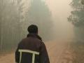 Триває гасіння лісових пожеж у Житомирській області