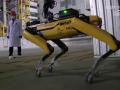 Робот-собака «SPOT» у Чорнобилі