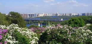 «Вогні Донбасу» та «Мрія»: у ботсаду Гришка пік цвітіння бузків