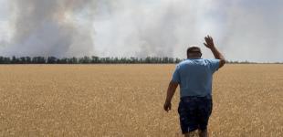 Обстріляний урожай: росіяни цілять в українські хлібні поля 